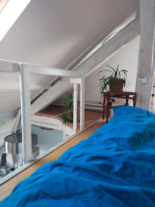 Studio Sous Les Toits Et Mezzanine - Vincennes Luaran gambar