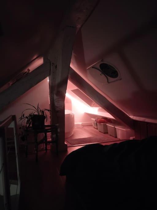 Studio Sous Les Toits Et Mezzanine - Vincennes Luaran gambar